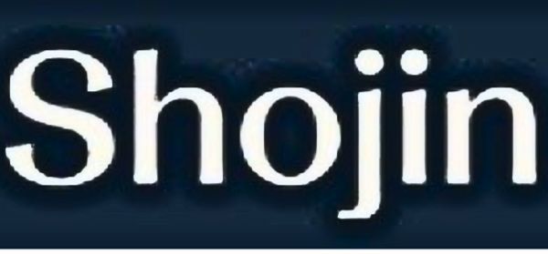 Imran Hussain Fractional CFO