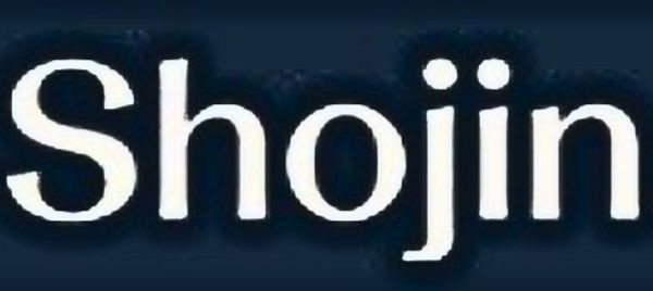 Imran Hussain FRactional CFO